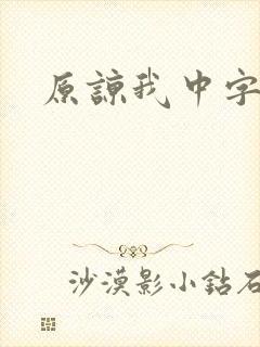 原谅我中字