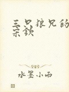 三只狼兄的宠妻宋钦