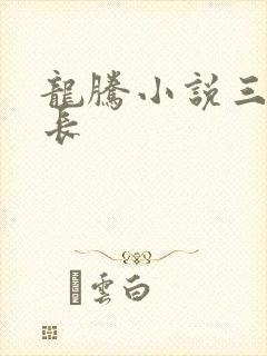 龙腾小说三宝局长