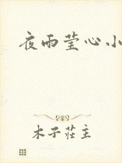 夜雨莹心小说