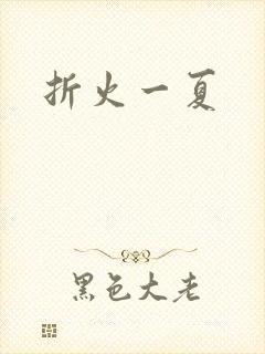 折火一夏封面