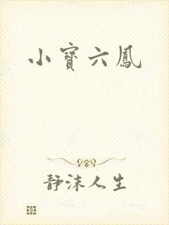 小宝六凤