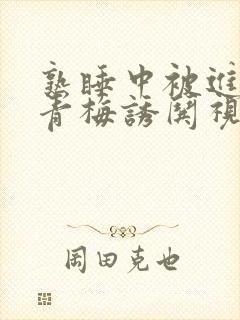 熟睡中被进了H青梅诱哄视频