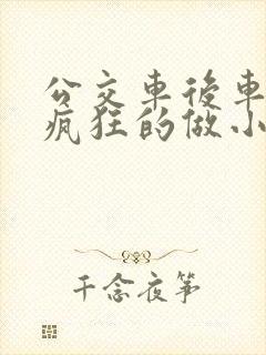 公交车后车座的疯狂的做小