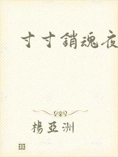 寸寸销魂夜春光