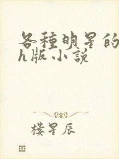 各种明星的综艺h版小说