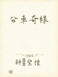公车奇缘