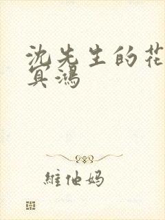 沈先生的花式调冥鸿