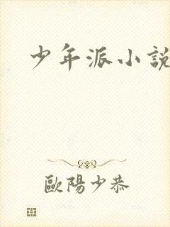 少年派小说