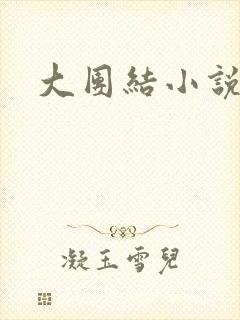 大团结小说全文