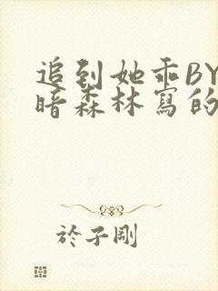 追到她乖BY黑暗森林写的小说