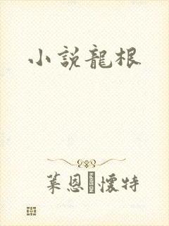 小说龙根