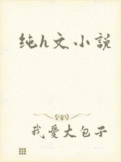 纯h文小说
