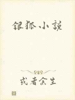 银狐小说