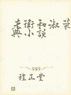 老卫和淑荣的经典小说