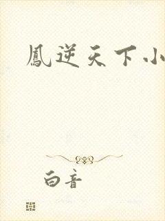凤逆天下小说
