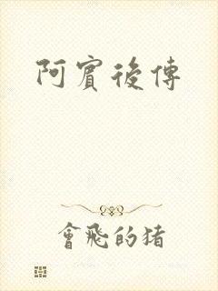 阿宾后传