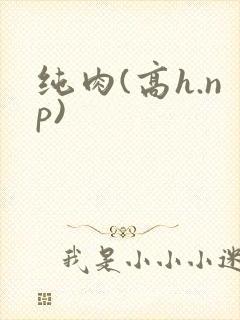 纯肉(高h.np)