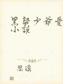 黑帮少爷爱上我小说