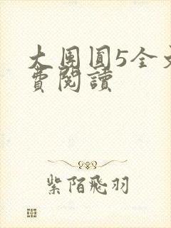 大团圆5全文免费阅读