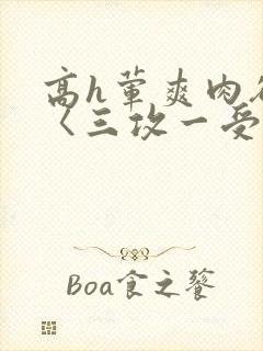 高h荤爽肉欲文〈三攻一受
