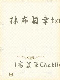 抹布日常txt封面