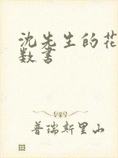 沈先生的花式调数书