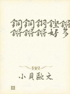 铜铜钢铿锵锵锵锵锵锵好多少阅读