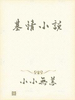 基情小说