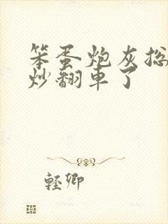 笨蛋炮灰总被爆炒翻车了