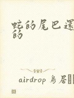 蛇的尾巴还在我的