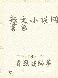 辣文小说网第二书包