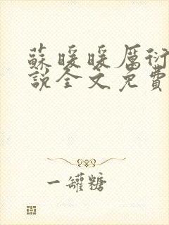 苏暖暖厉衍琛小说全文免费阅读