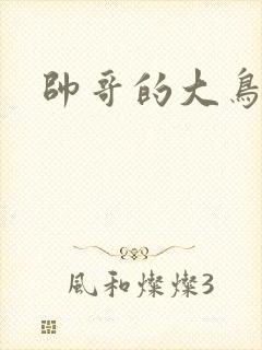 帅哥的大鸟