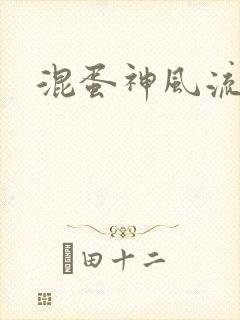 混蛋神风流记