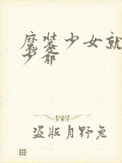 魔装少女就是本少爷