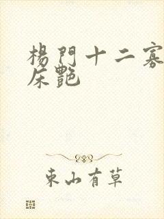 杨门十二寡妇肉床艳