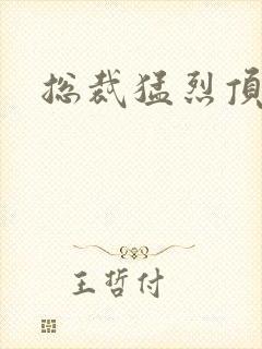 总裁猛烈顶弄h封面