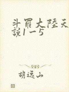 斗罗大陆天狂传说1一5