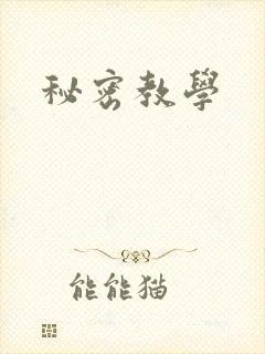 秘密教学
