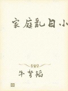 家庭乱日小说