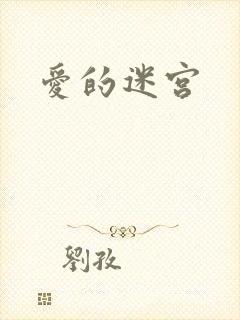 爱的迷宫