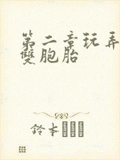 第二章玩弄少妇双胞胎