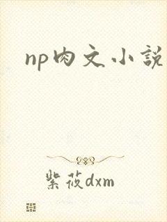 np肉文小说