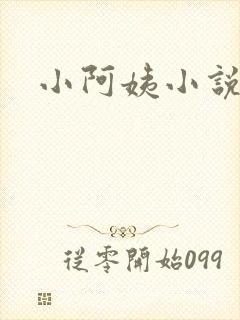 小阿姨小说