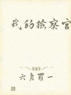 我的检察官先生