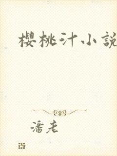 樱桃汁小说