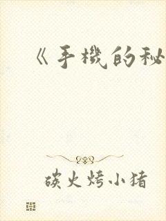 《手机的秘密》