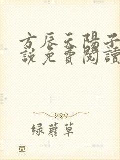 方辰天阳子的小说免费阅读