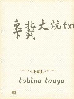 东北大炕txt下载